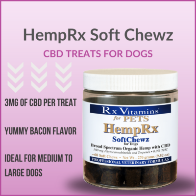 Jar of HempRx Soft Chewz CBD Treats for Dogs