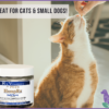 An orange cat getting a CBD treat for cats from a jar of HempRx Soft Chewz for cats
