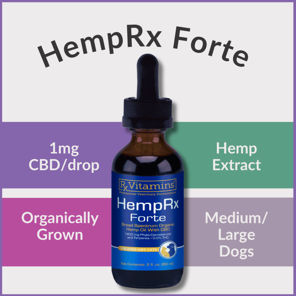 Organic CBD for Dogs - HempRx Forte - Boulder Holistic Vet