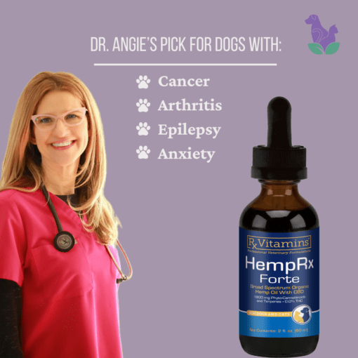 Dr. Angie standing with a bottle of HempRx Forte with a list of reasons she uses CBD in practice