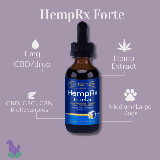 a bottle of hemp oil listing the benefits of HempRx Forte including it's concentration of 1 mg of CBD per drop, CBD, CBG, CBN and phytocannibinoids