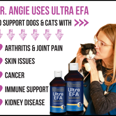 Dr. Angie Krause, holistic veterinarian, and Ultra EFA fish oil for cats