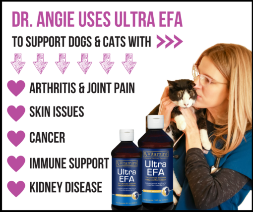 Dr. Angie Krause, holistic veterinarian, and Ultra EFA fish oil for cats