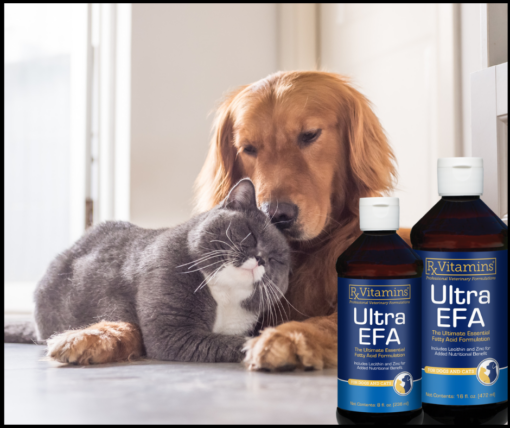 Dog and Cat snuggling with bottles of Ultra EFA fish oil for dogs and cats