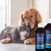 Fish oil for dogs and cats