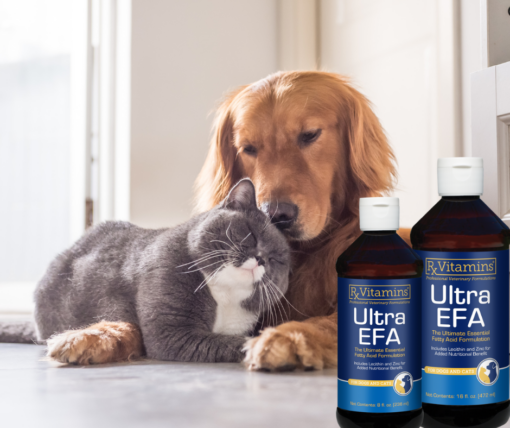 Fish oil for dogs and cats