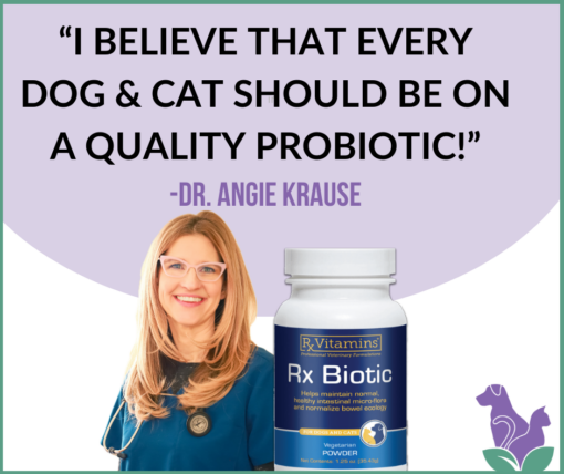 Holistic Veterinarian, Dr. Angie Krause, believes that every dog and Cat should be on a quality probiotic