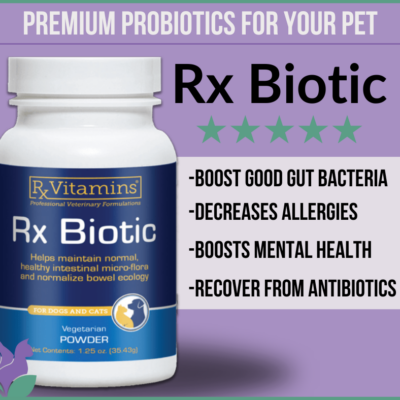 Bottle of Rx Biotic, probiotics for cats and probiotics for dogs