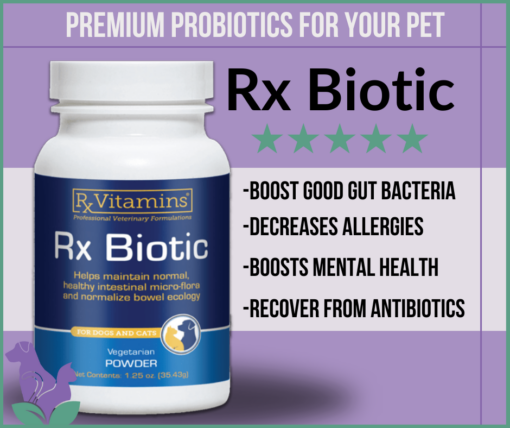 Bottle of Rx Biotic, probiotics for cats and probiotics for dogs