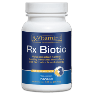 Bottle of Rx Biotic by Rx Vitamins. Probiotics for cats and dogs