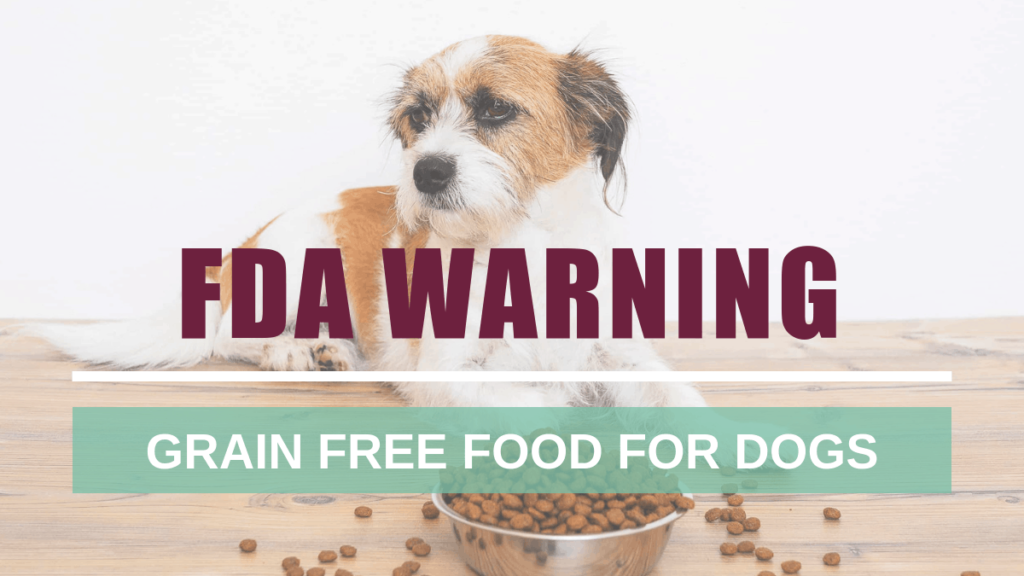 FDA Warning on Grain Free Food for Dogs