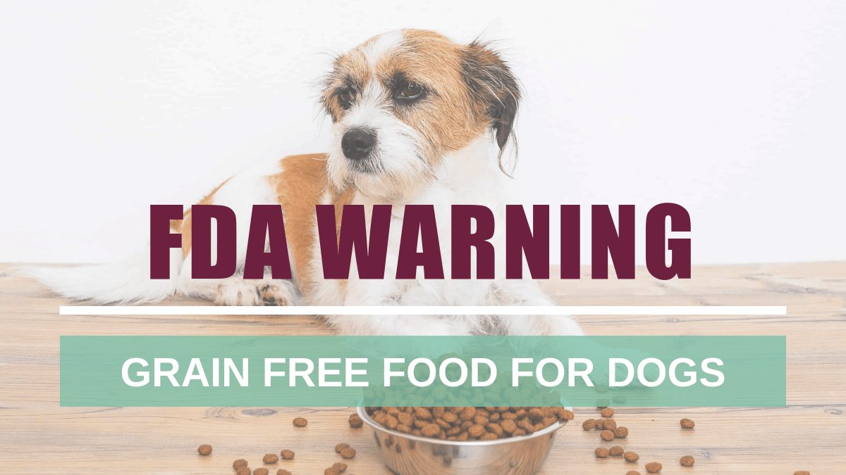 FDA Warning: Grain Free Foods for Dogs 