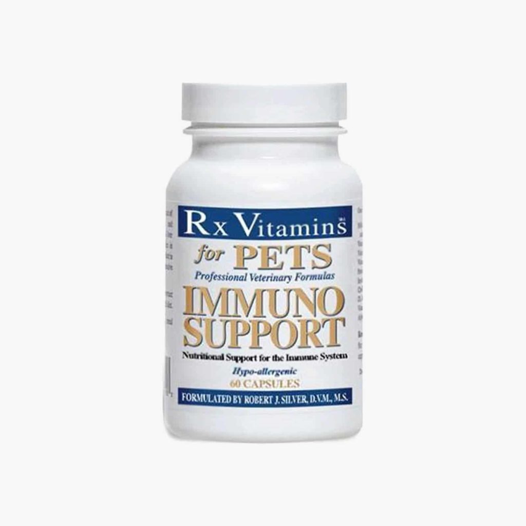 immuno support rx vitamins boulderholisticvet angie krause pets cats dogs