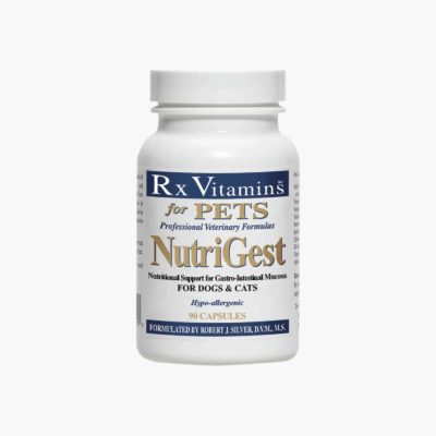 nutrigest capsules rx vitamins boulderholisticvet angie krause pets cats dogs