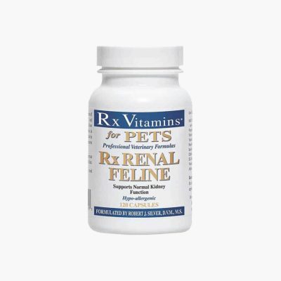 rx renal capsules cats feline rx vitamins boulderholisticvet angie krause pets