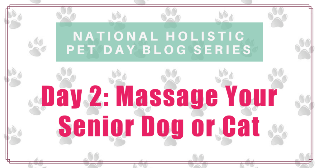 national holistic pet care day massage for your senior dog or cat boulder holistic vet angie krause