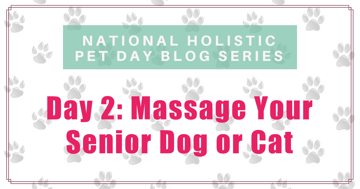 national-holistic-pet-care-day-massage-for-your-senior-dog-or-cat