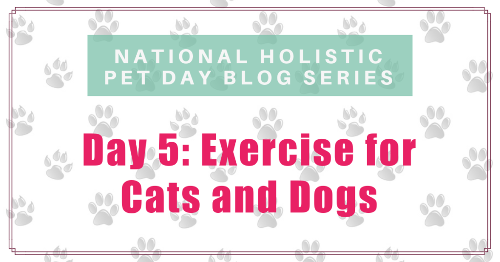 national holistic pet day exercise for cats and dogs boulder holistic vet angie krause