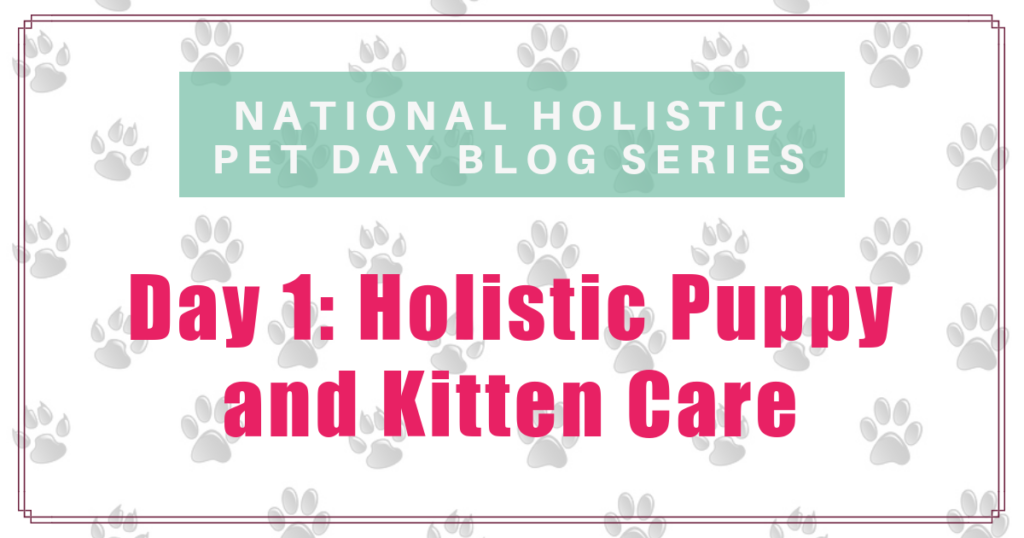 national holistic pet day holistic puppy and kitten care boulder holistic vet angie krause