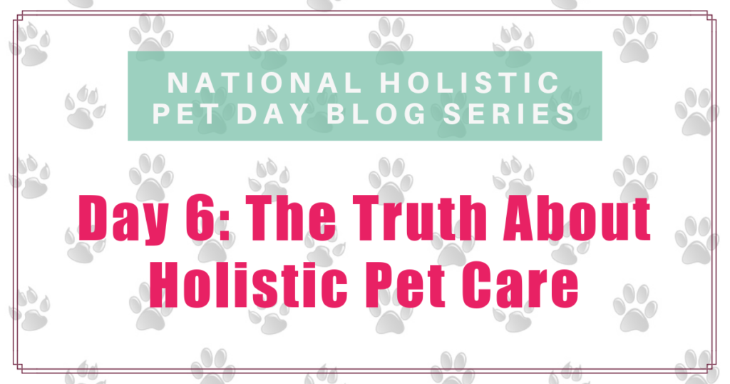 national holistic pet day the truth about holistic pet care boulder holistic vet angie krause