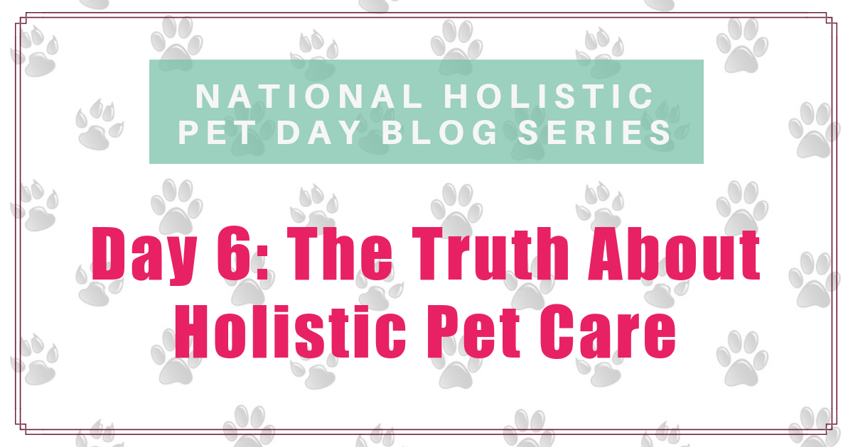 National Holistic Pet Day - The truth about Holistic Pet Care