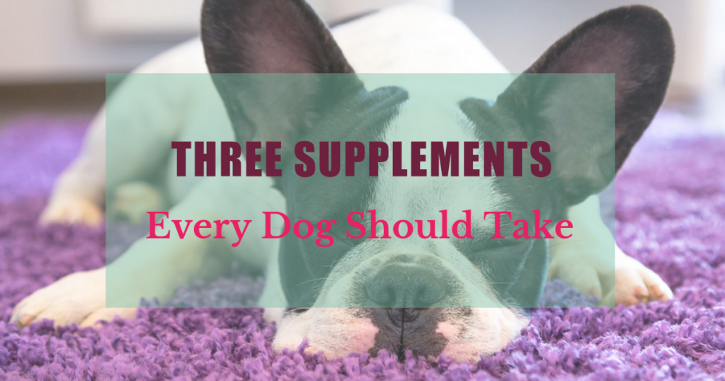 three supplements every dog should take boulder holistic vet angie krause