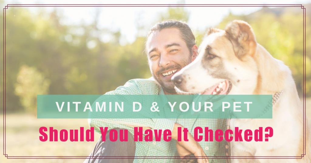 vitamin d and your pet should you have it checked boulder holistic vet angie krause