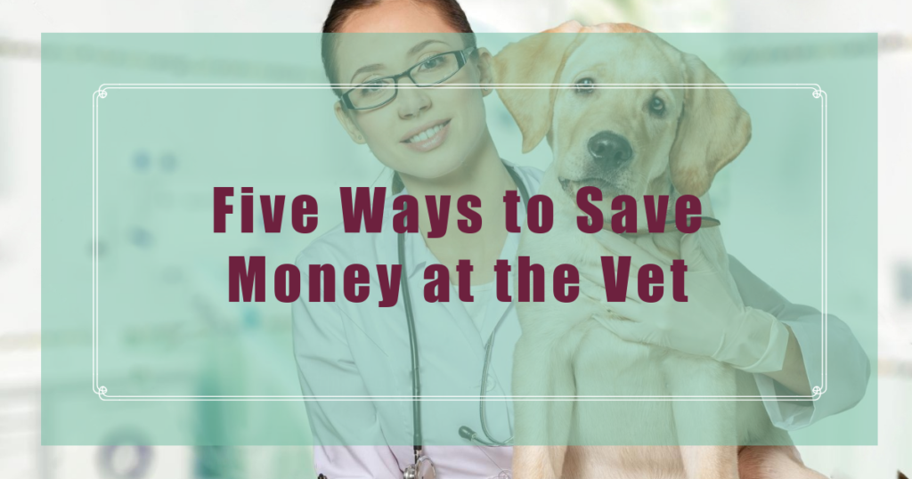 ways to save money on veterinary bills boulder holistic vet angie krause