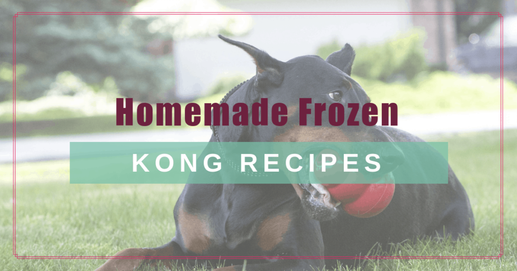 homemade frozen kong recipes