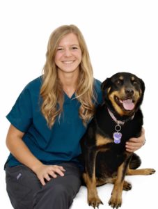 aspen and madison boulder holistic vet dr angie krause