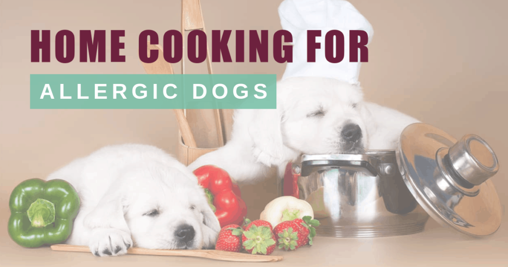 home cooking for allergic dogs boulderholisticvet dr. angie krause