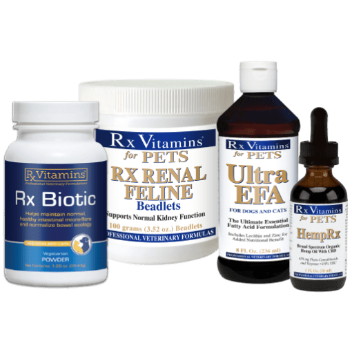 Feline Kidney Disease Bundle