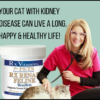 Dr. Angie Krause, Holistic Veterinarian, promotes Rx Renal Beadlets a supplement for cats with kidney disease