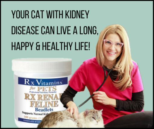 Dr. Angie Krause, Holistic Veterinarian, promotes Rx Renal Beadlets a supplement for cats with kidney disease