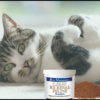 Kidney disease in cats supported by Rx Renal Beadlets kidney supplement for cats