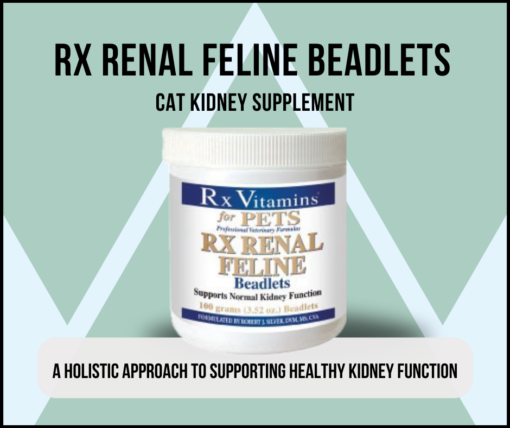 Cat Kidney Supplement, Rx Renal Beadlets