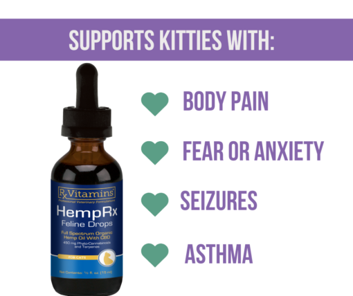 Bottle of HempRx Feline Drops supports cats with fear or anxiety, seizures, asthma, and body pain