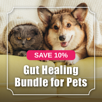 Dog Gut Health - Gut Healing Bundle for Cats and Dogs with Pet Probiotics