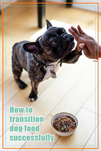 how to transition dog food