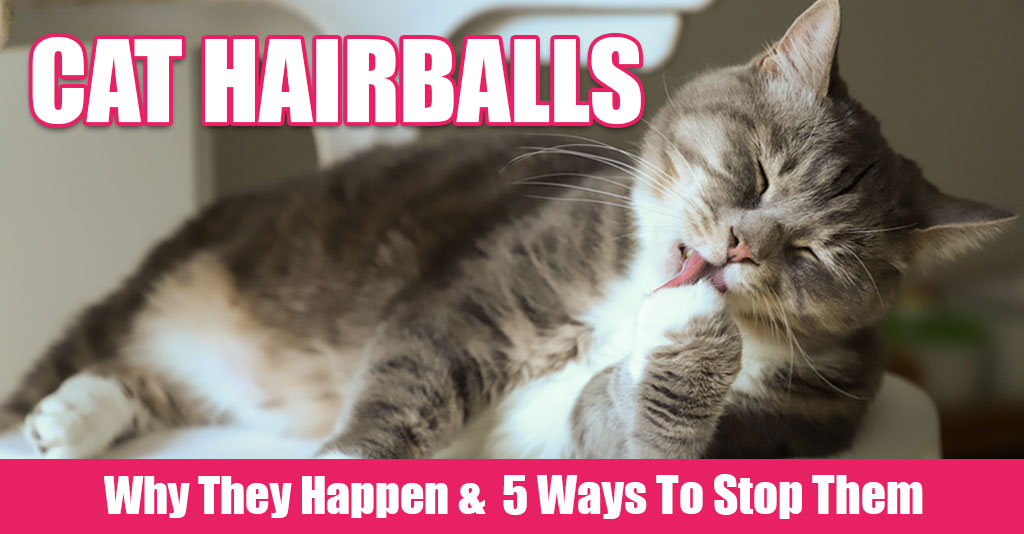 Cat Hairballs