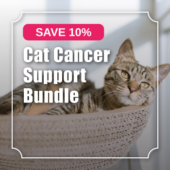 feline cancer supplement bundle
