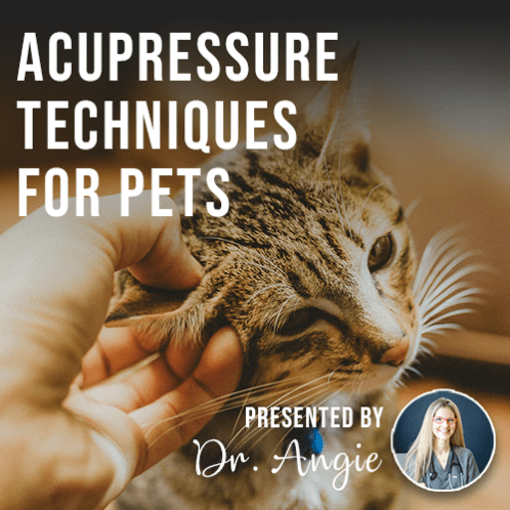 Acupressure Techniques for Pets