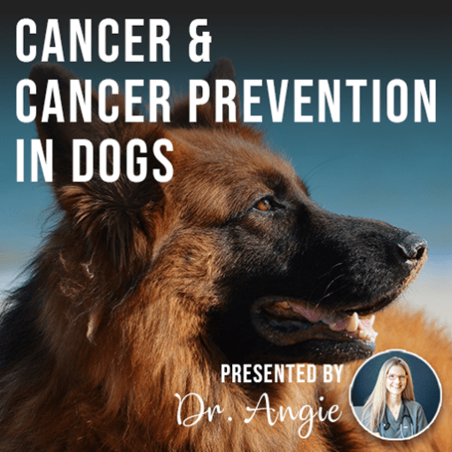 Cancer & Cancer Prevention in Dogs