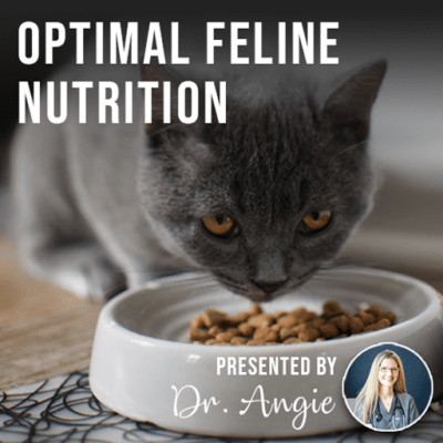 Optimal Feline Nutrition