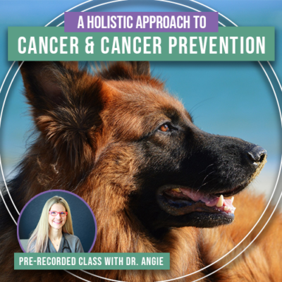 A Holistic Approach to Cancer and Cancer Prevention (Previously Recorded)