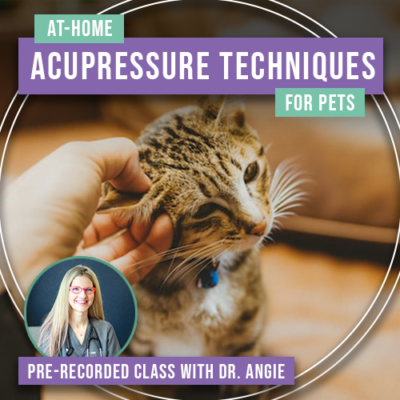 At-Home Acupressure Techniques for Pets (Previously Recorded)