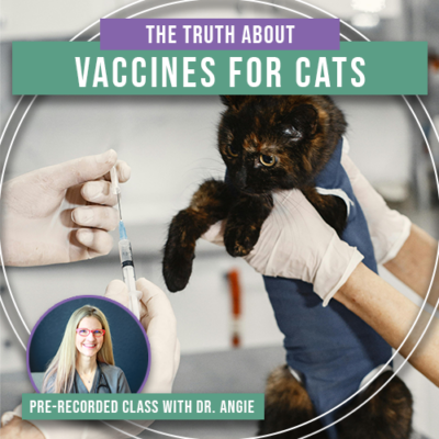The Truth About Vaccines for Cats (Previously Recorded)