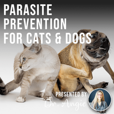 Parasite Prevention for Cats & Dogs