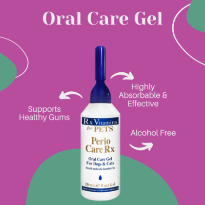 Oral Health for dogs and cats - Perio Care Rx by Rx Vitamins