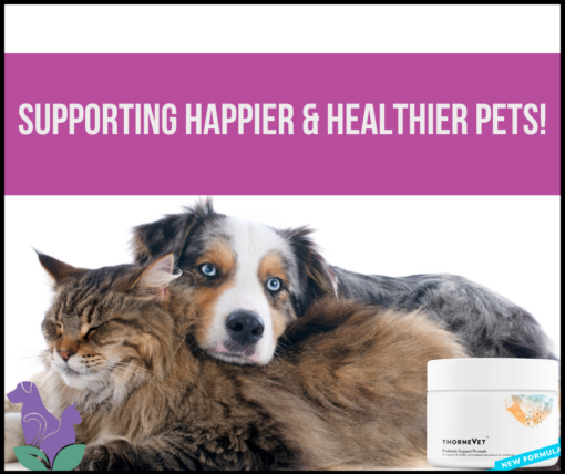 probiotics for dogs probiotics for cats. Dog and Cat snuggled together in photo that says supporting happier and healthier pets